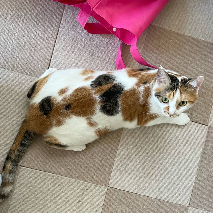 8012b33e 4607 45c2 b4c1 39d6e63f0e8b 1632124860892