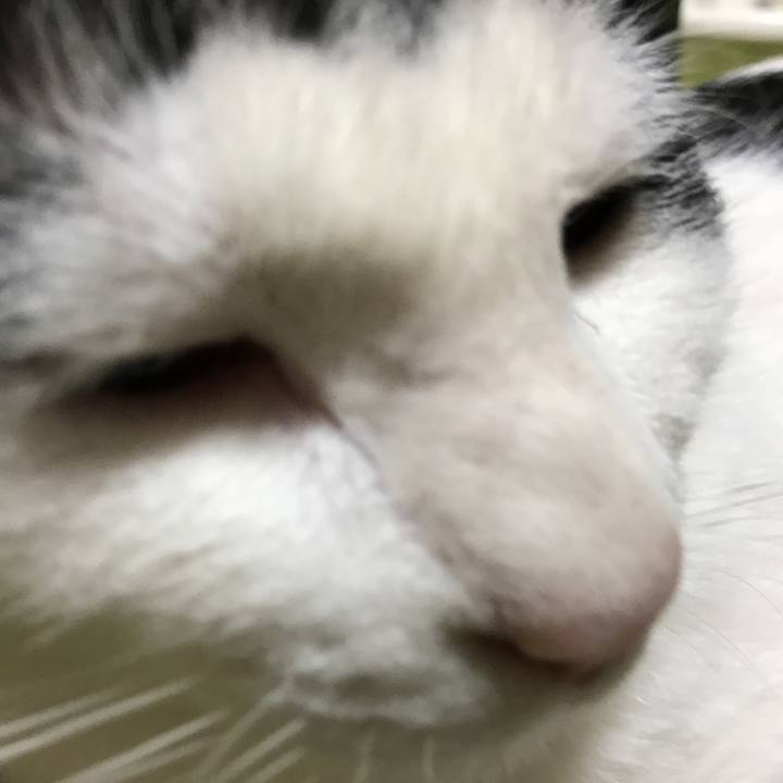 8012e405 5344 45b7 8f7f e16d1489d812 1523376070291