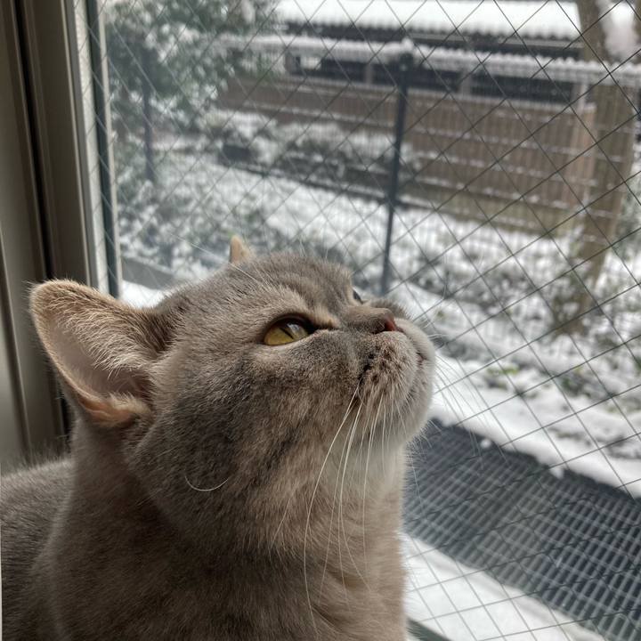 8012e9c8 7730 4e73 a364 e370ae12f977 1770536013988