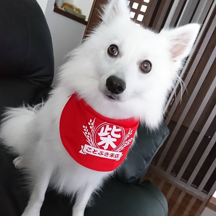 80132b8e dee5 44d1 aa23 366dfd00451a 1531896028056