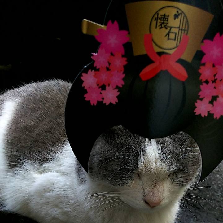 8013385f 39e8 427d 8836 e694e39d10d2 1520149236826