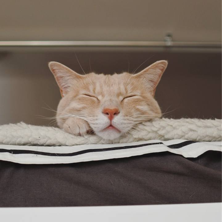 80133caf c7d7 4a52 a46a e02e3985dcc5 1620110133349