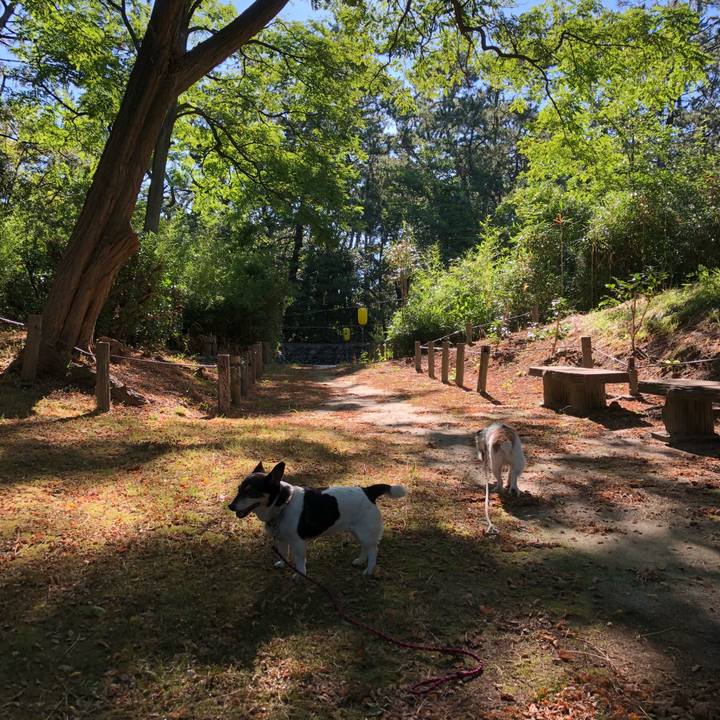 80133d64 ce79 4234 8cc8 263e7da3af62 1533689136207