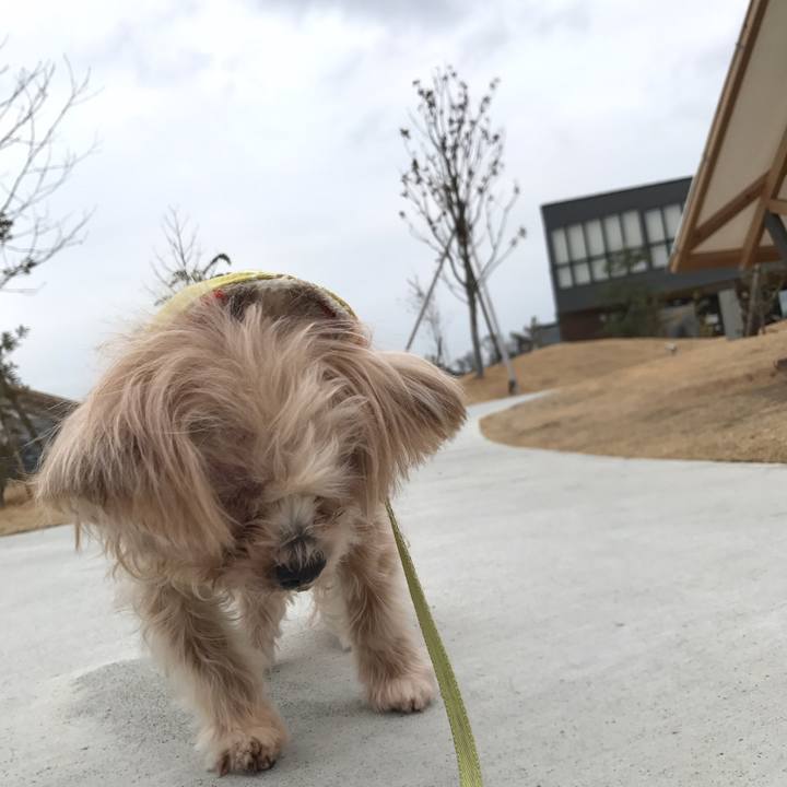 80137a7a 7e2f 4932 8359 947343182aef 1548244847897