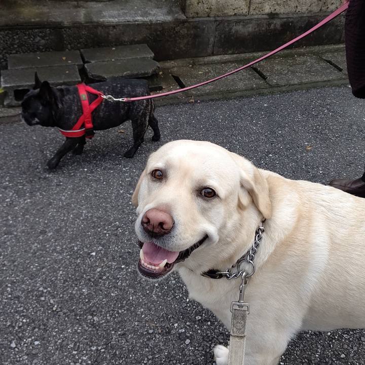 80138203 b018 4f88 9d8d f8a04446b188 1602459503117