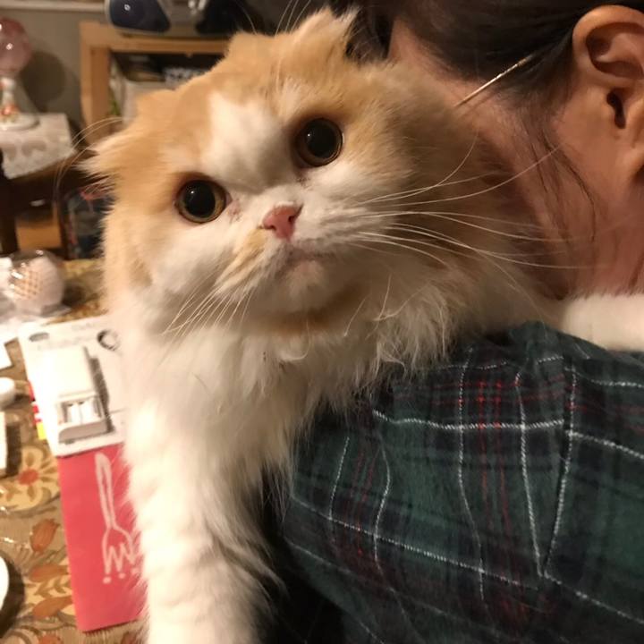 801393a8 6637 47b6 b155 0ac3c43740c2 1576072487617