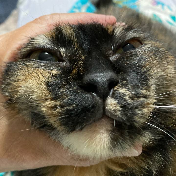 8013ac87 94ec 499c 8dbb 0004737642bf 1716638132992