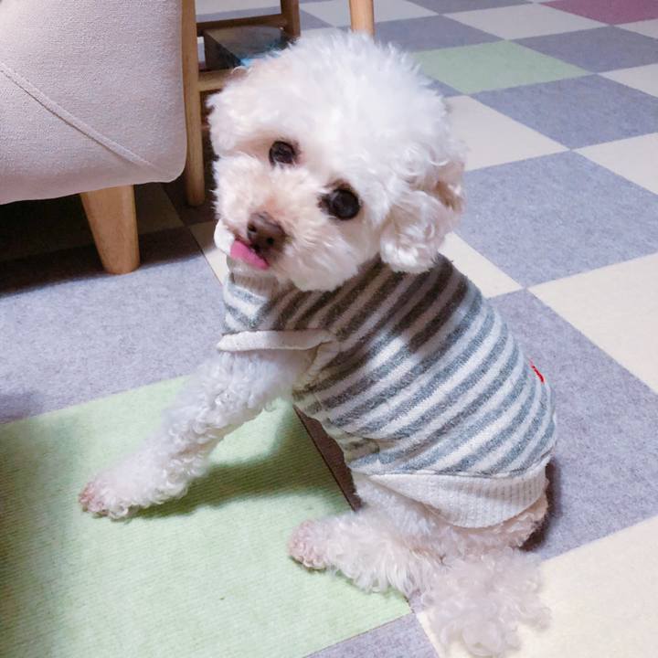 8013e624 eb74 42c9 a61f ea5653741233 1551613692227