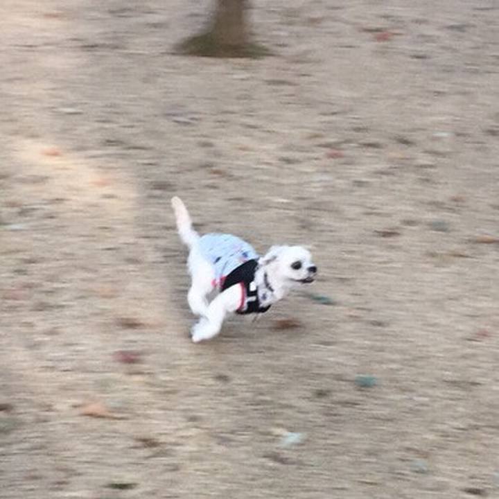 801423ac cd7f 4320 bfee a1f9759b4f8d 1509451748820