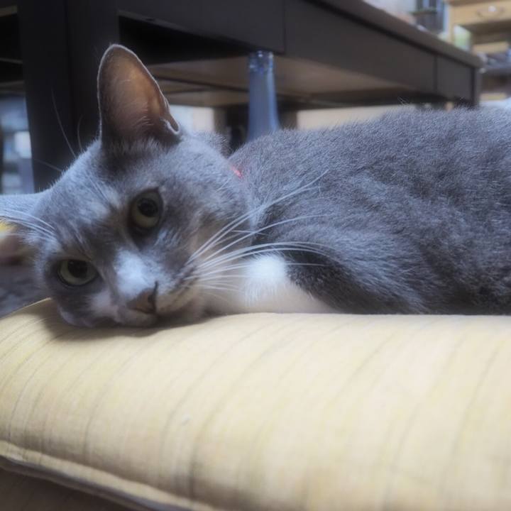 80146388 f97e 47bc 9459 03b0045f0ad7 1537310394862