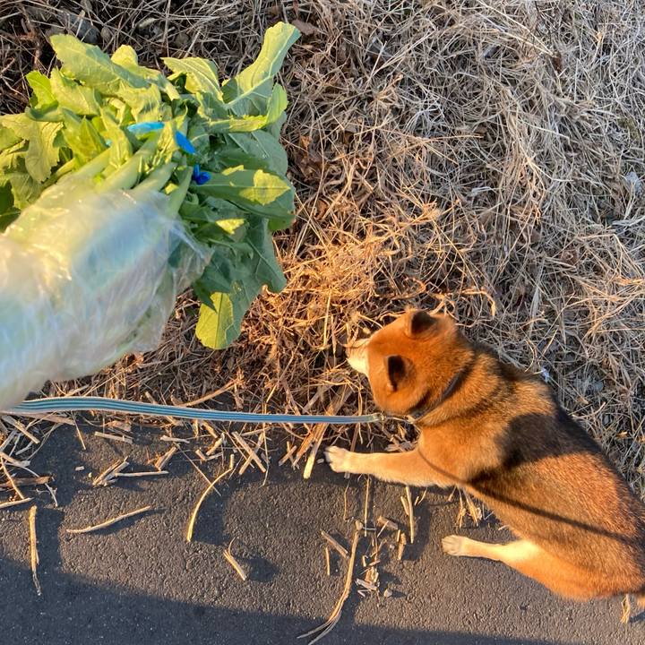 80146a3a 32ef 4b06 86c5 ae3fe527c02f 1736582152049