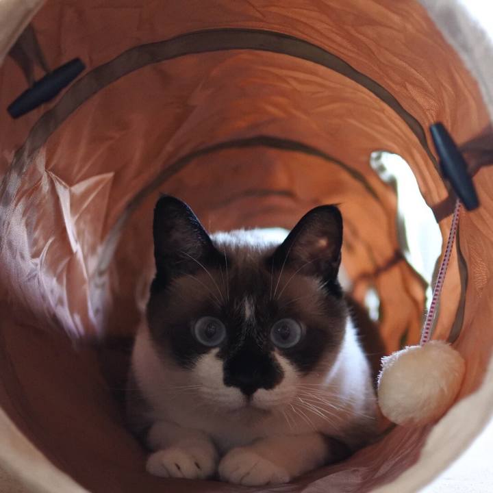 80146e69 ce7b 4198 a3ea 254aa6cabe34 1533684942396