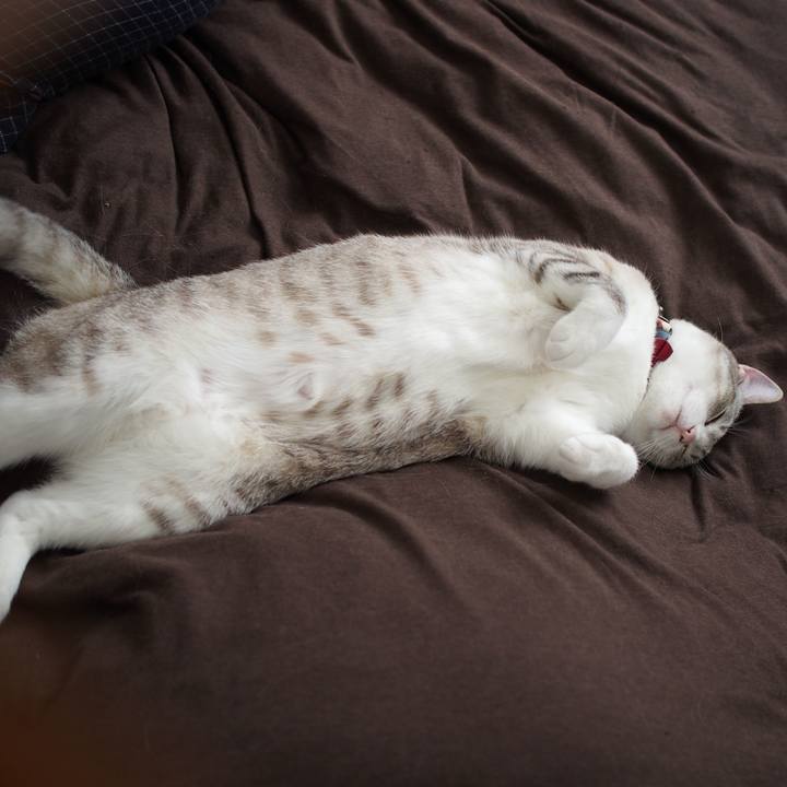 80150dd5 de82 44a3 a61e a15635e46877 1588651547448