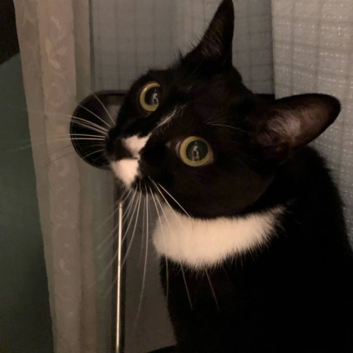 80158dbc 7f60 4325 b196 96008f2b10b3 1543876033858