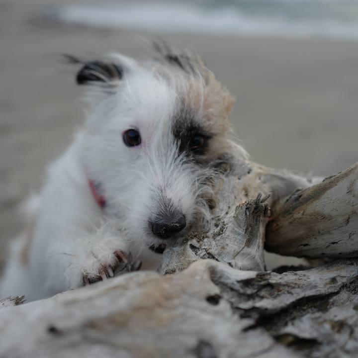 801591a8 f82c 4d12 86db 85035ac7954e 1606554040289