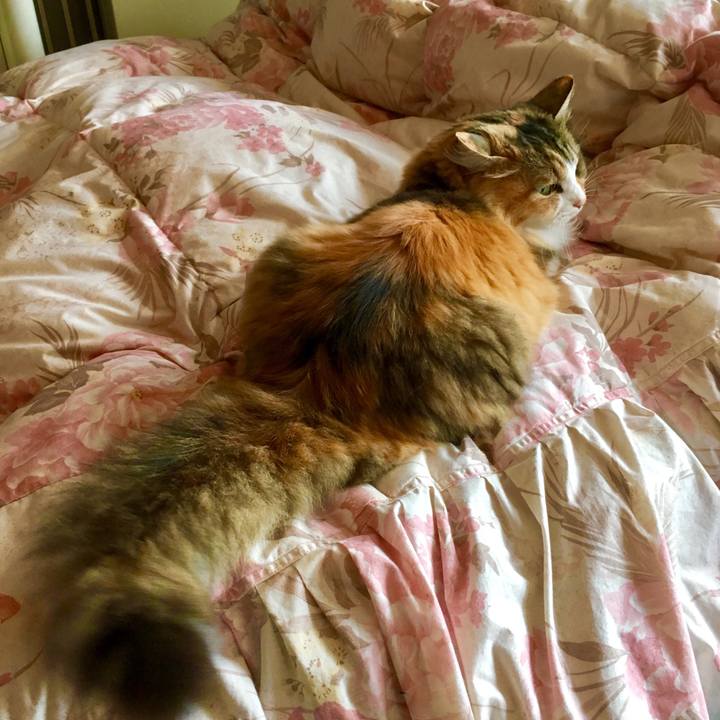 8015aea8 76ec 4159 9bad 2f8e5f87696f 1560654161010