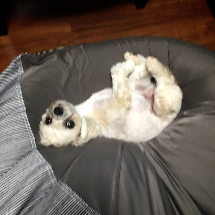 8015afac 3e80 47ce ac83 16432d709e09 1520337358528