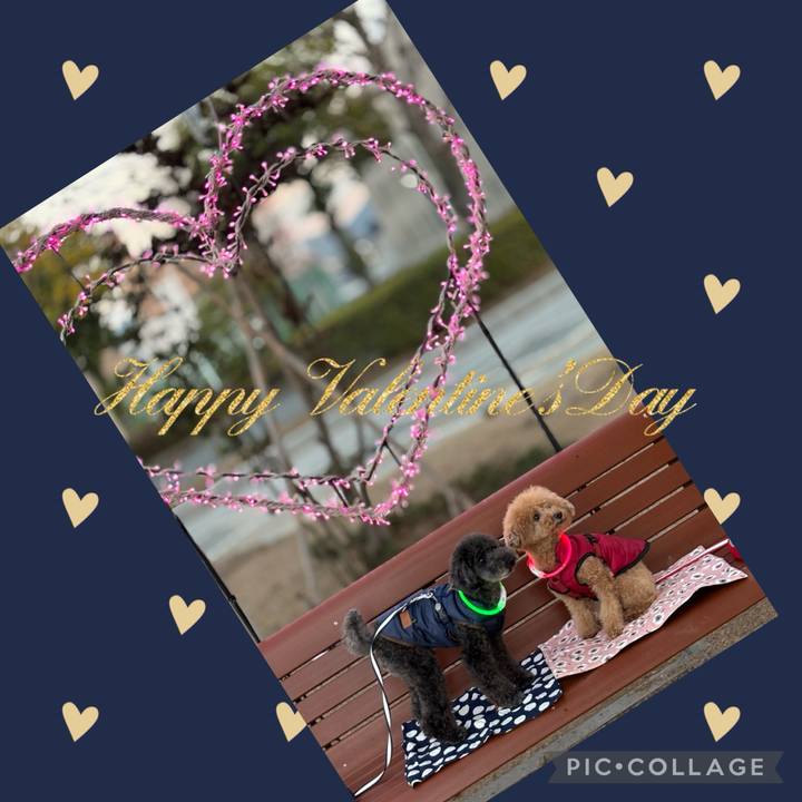 8015bb53 f4c9 49fb 98ad 80dc632cbb03 1707875678675