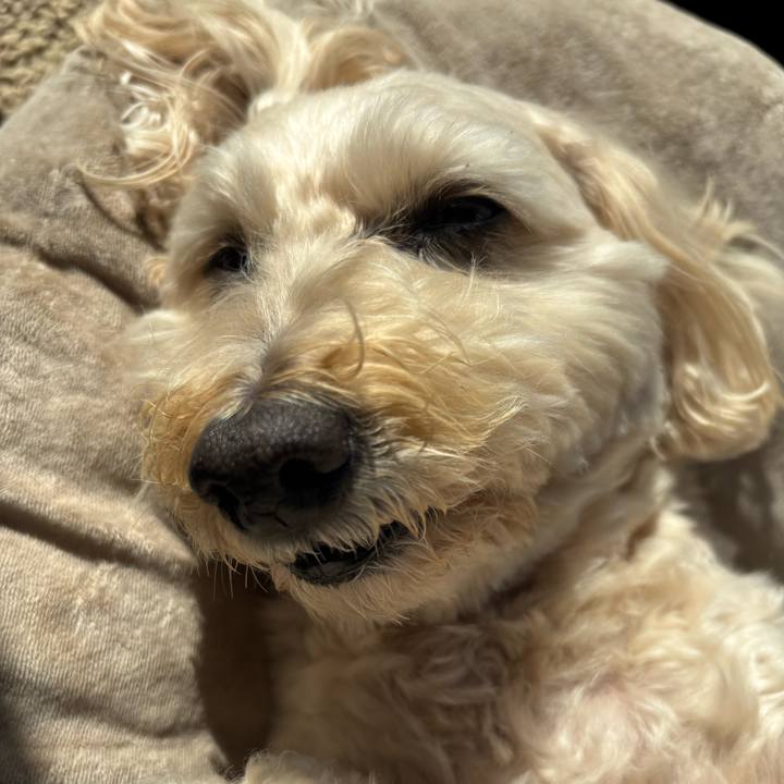 8015e121 0bf3 4eb4 a002 ad9166e3f0a2 1773289712466