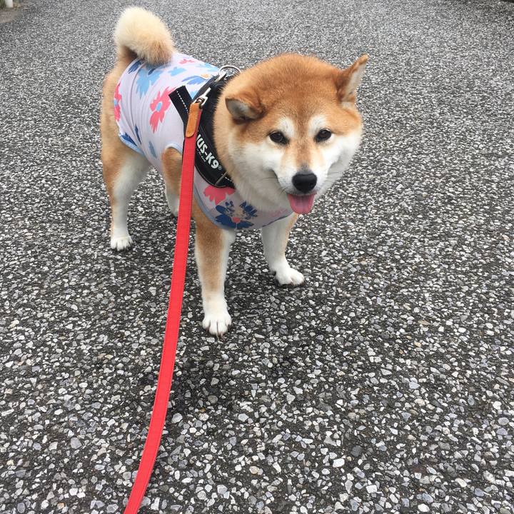 8015f83b 5377 4762 9bd5 47b779653c10 1593486981416