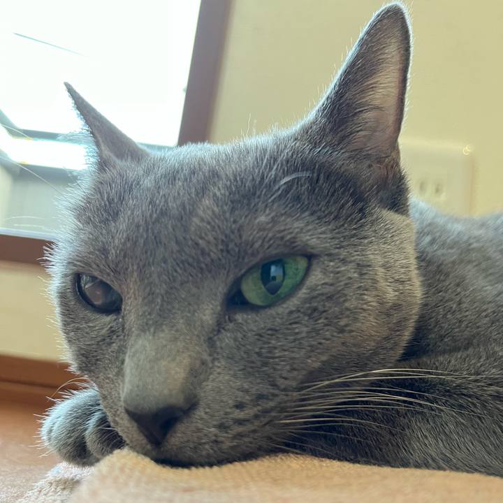 80160bdb 233a 4129 ac18 3819fb48b088 1717490840181