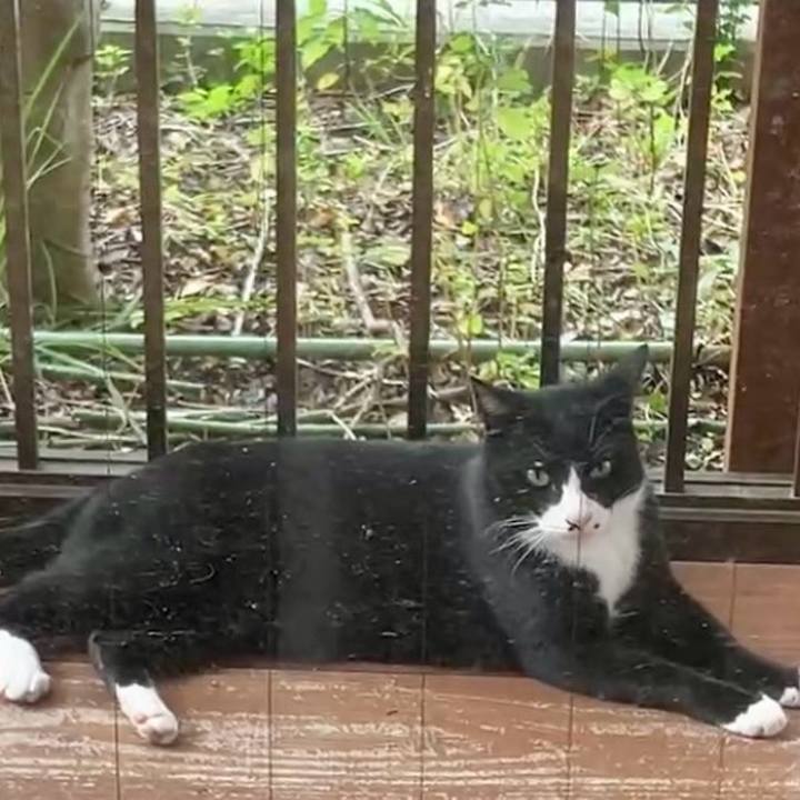 8016163a 8e95 439c 88c5 6c55be8e6c73 1730090891677