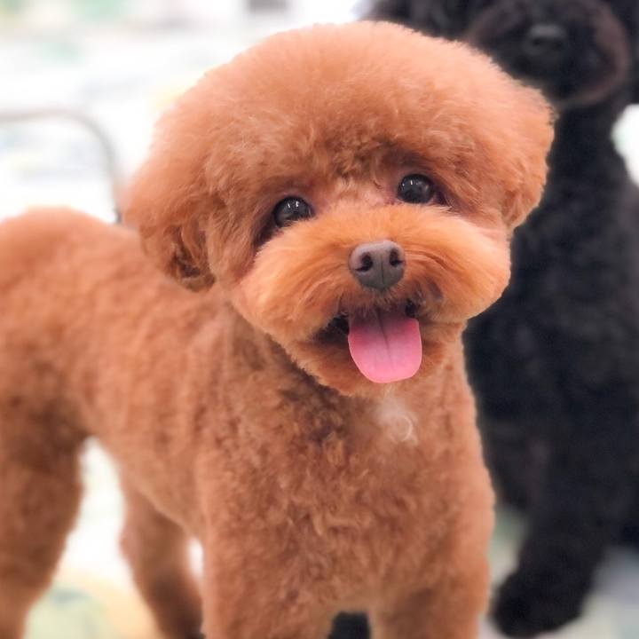 80162ab8 3ad0 47af bad8 66e756925b16 1595137592834