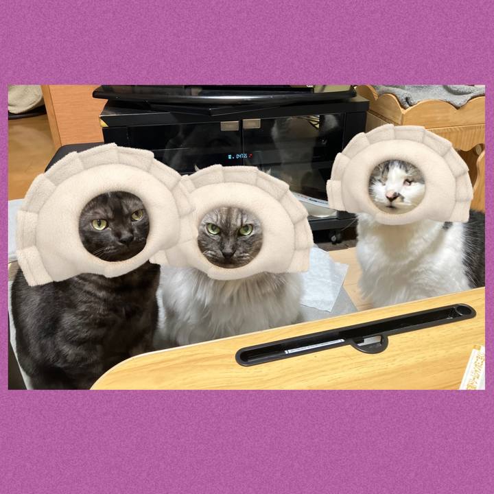 8016c32c 4ef8 4fcb 96ac 4ea4414b4ff6 1746501208173