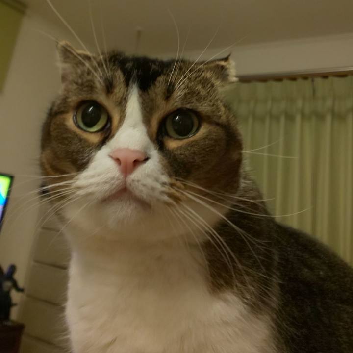 8016e77c b43d 4c41 8094 41007b9ebfed 1634052361695