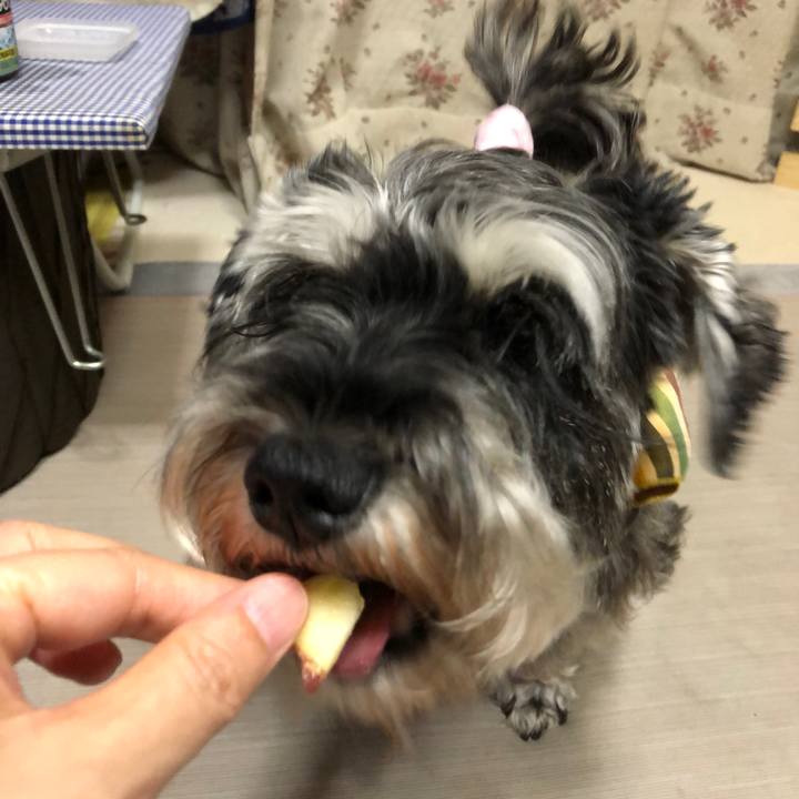 8017222a f655 4228 9f28 8ccb4fa0b73f 1627477259305