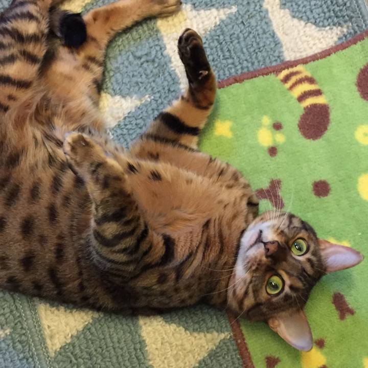 80172dfd f62f 4091 8b5a 01899f8812f8 1515102944005