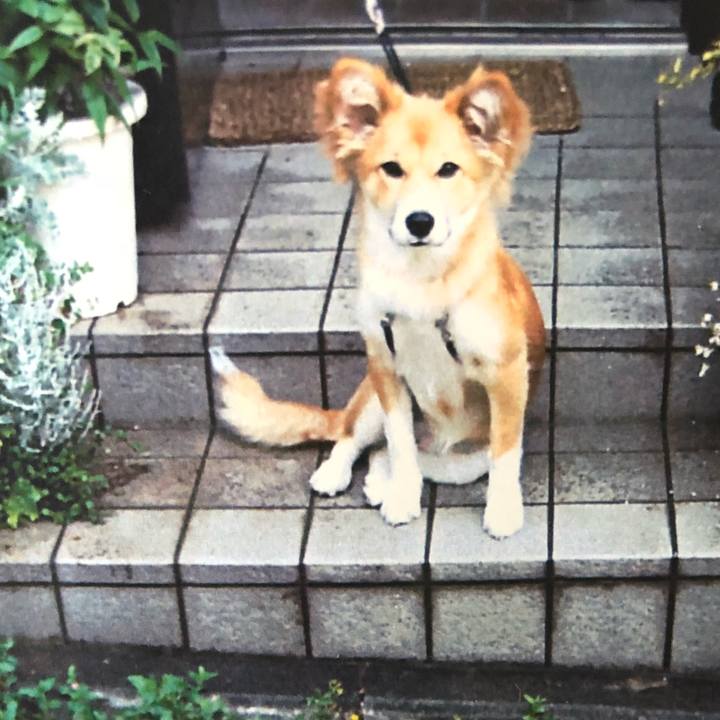 80172fdb 30e0 43da b8a5 0b5dabb9a386 1537268698769