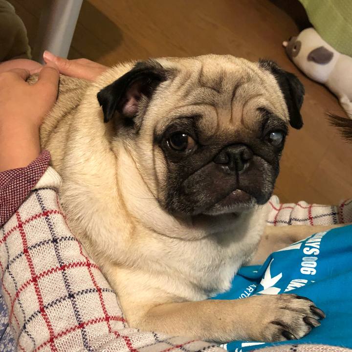 80175edd 2ec0 4645 9623 80a118e955ef 1541642774410