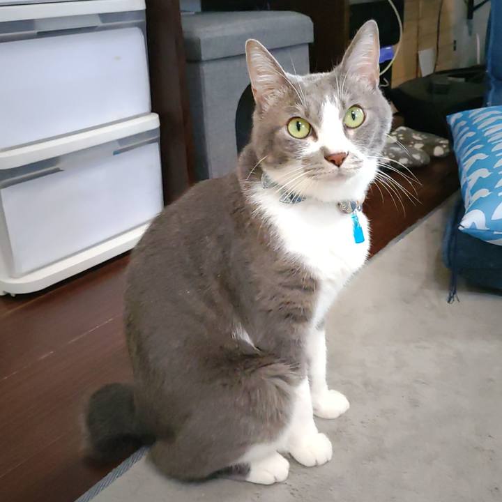 80176c52 ab0b 4389 abca 10c3407af0c6 1695593045219