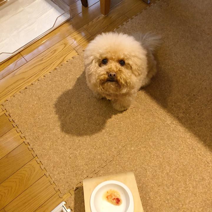 8017ceb9 dbec 4d72 8518 223b1ac581bc 1517633233755