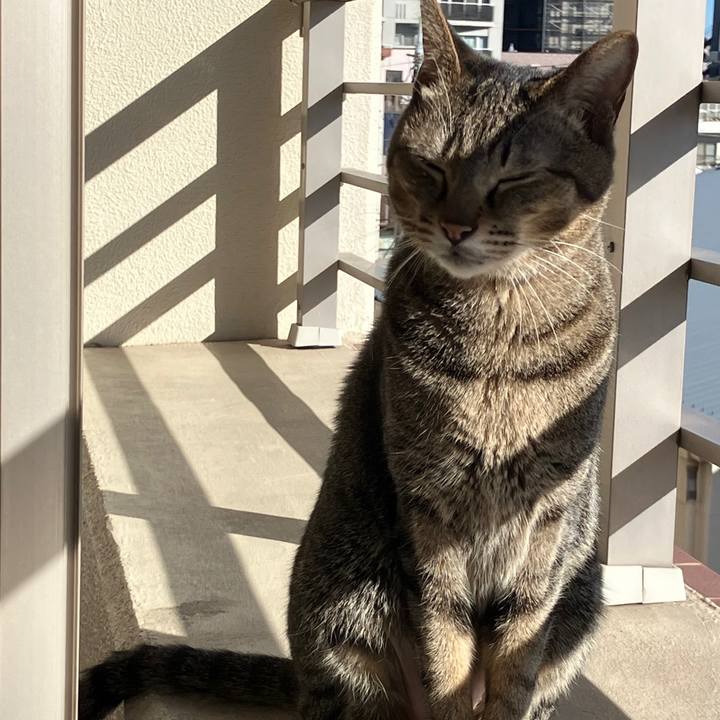 8017d677 dd73 4fe5 b4a1 84e2535d315a 1765772339114