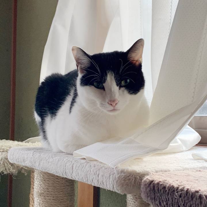 8017fcd2 7436 45fa 98f0 995d322e6b9d 1545955995167