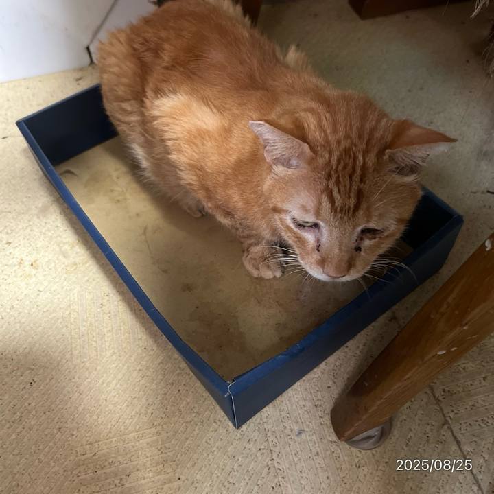 801804f6 f6e4 4e54 98b9 d9371e570c92 1756245264913