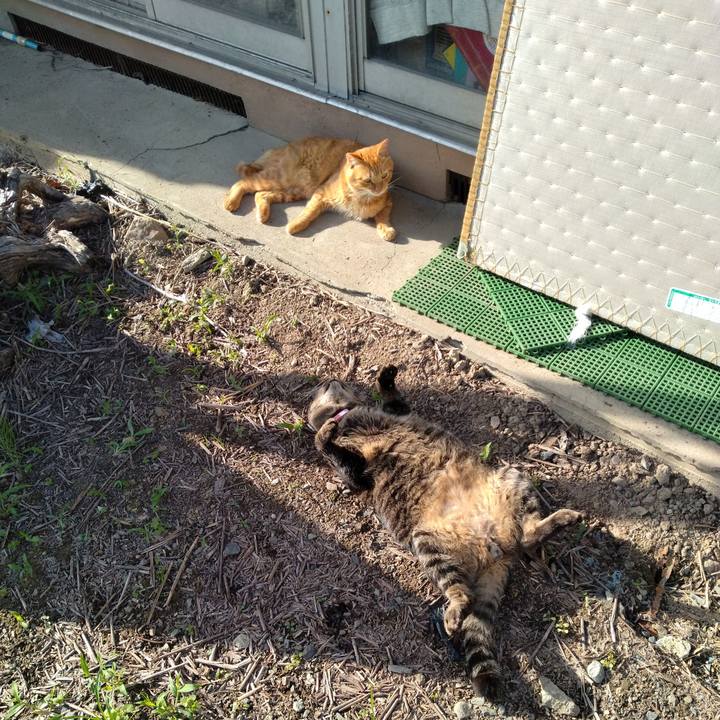 80182505 1d3f 4d30 8639 d5d9e760b204 1664087153726