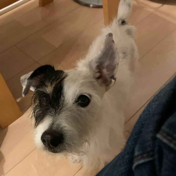 80187784 c8db 4bd7 94da dd0a8f7b0aa7 1672654067386