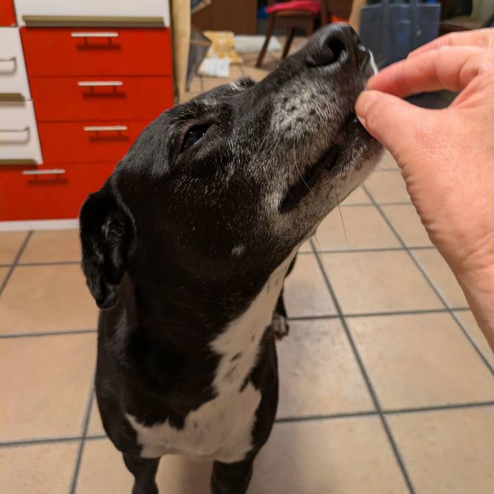 8018a11f 9ad5 4250 bb1c e6194ff230f8 1731408799931