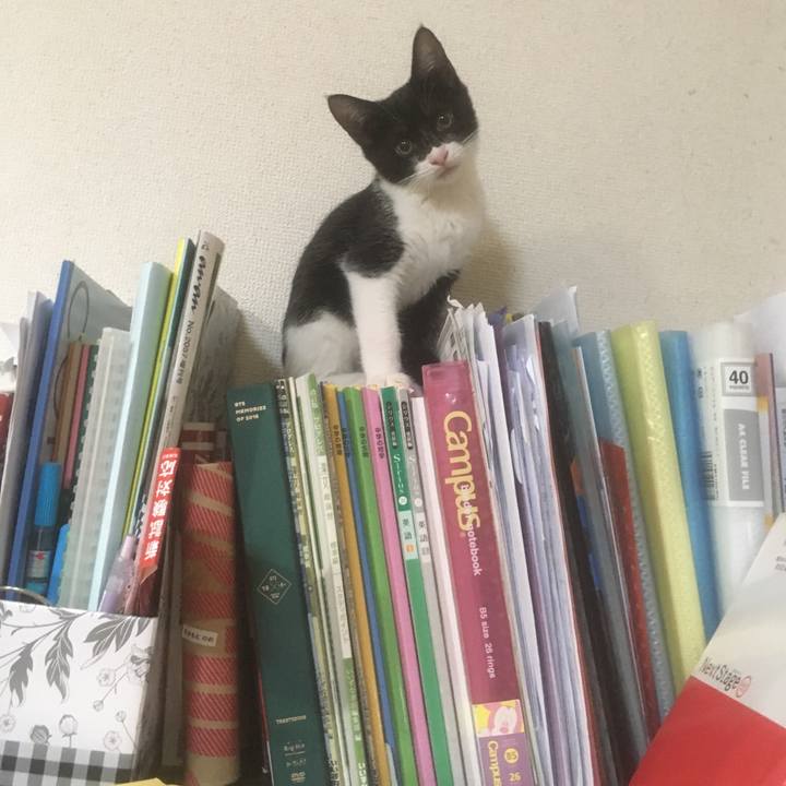 8018c85e 09b8 4187 aa6a 72fd70052901 1508380510080