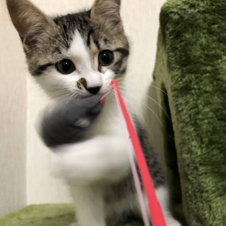 80190ccf 8361 4b82 b6f0 1fcbe212a2b2 1606566568554