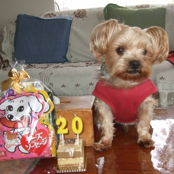 801978c5 e3b0 4925 a114 0e70c6e69dd8 1768198660102