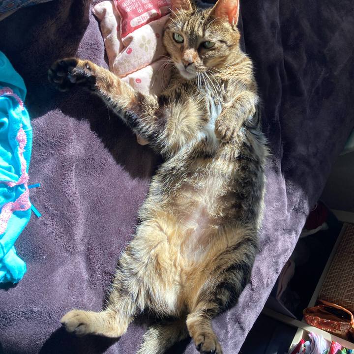 801a440e 3aa5 4666 8bd5 108dc428b230 1706575700638