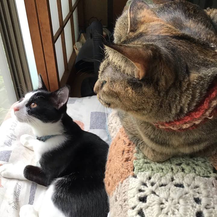 801a46c9 7879 4aba 9be7 fcf948ab13a4 1631607399278