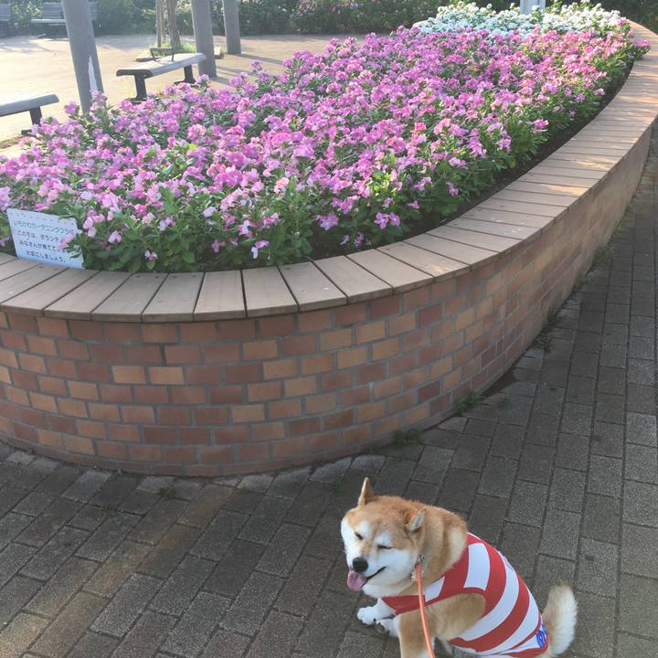 801a5632 4c43 436e 9570 66b322d7d052 1565997549449