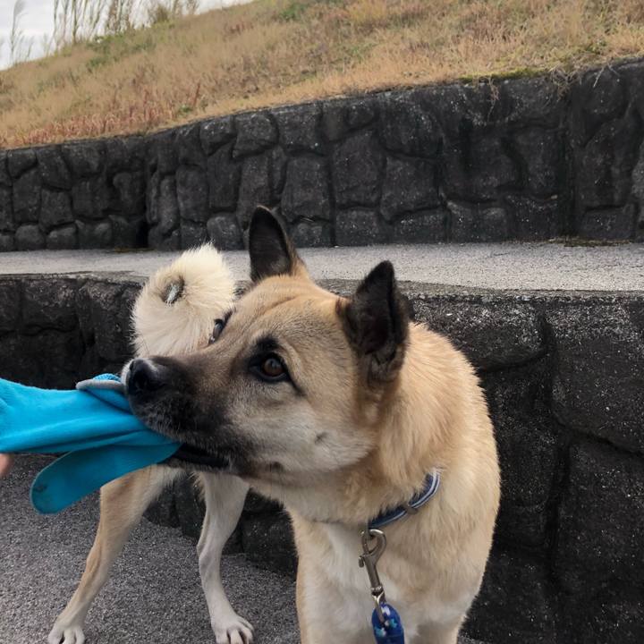 801a5bc7 6ba1 4f96 ba33 20492c27ba6f 1577619114068