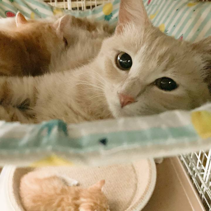 801a68fc a42f 4ba8 a38c 97db988e3fa4 1748732445678