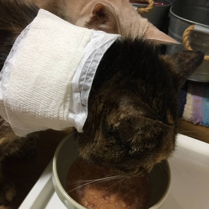 801a728a 4105 463b 945c 2a866132c516 1660226838910